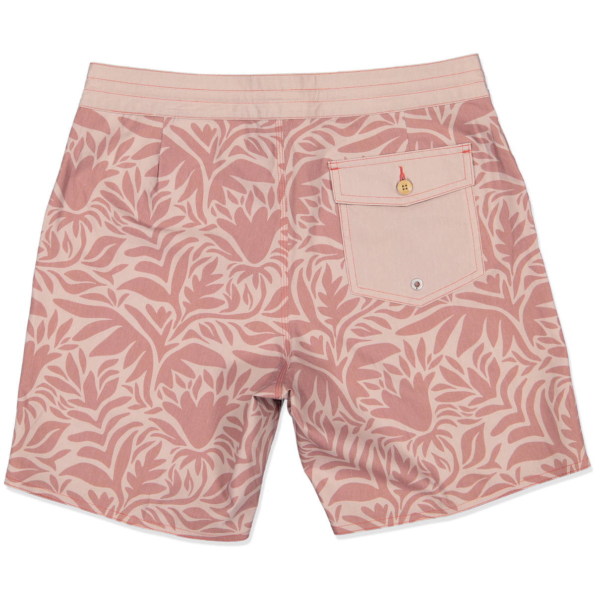 PALMERA